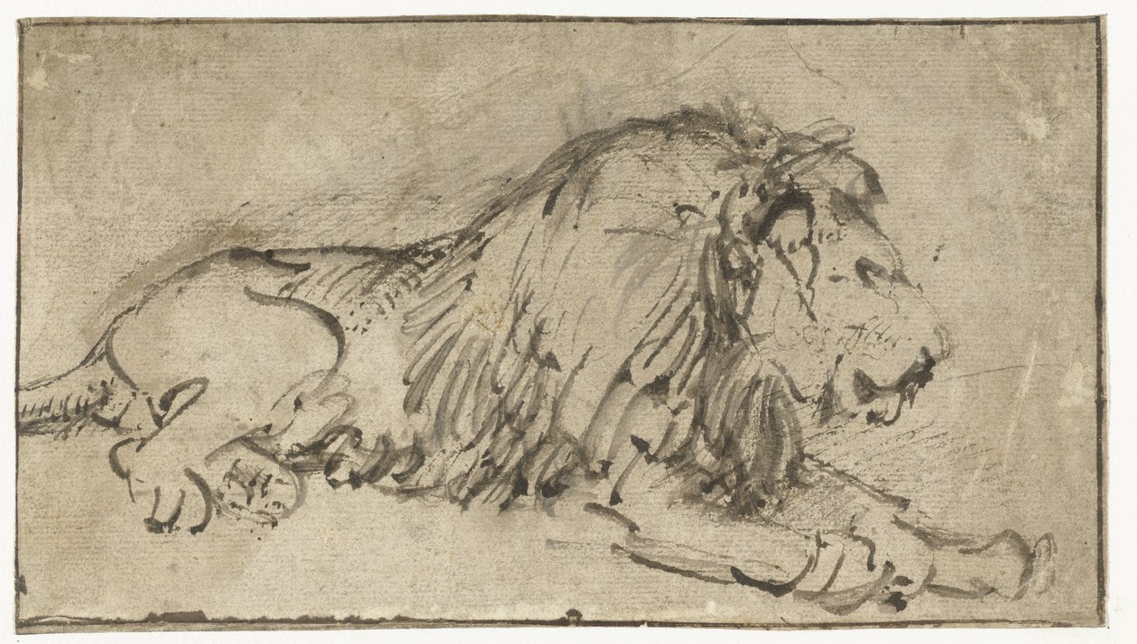 Leone sdraiato da Rembrandt van Rijn