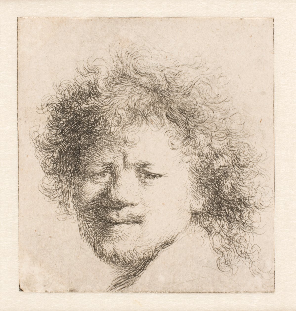 Rembrandt con lunghi capelli folti: solo la testa da Rembrandt van Rijn
