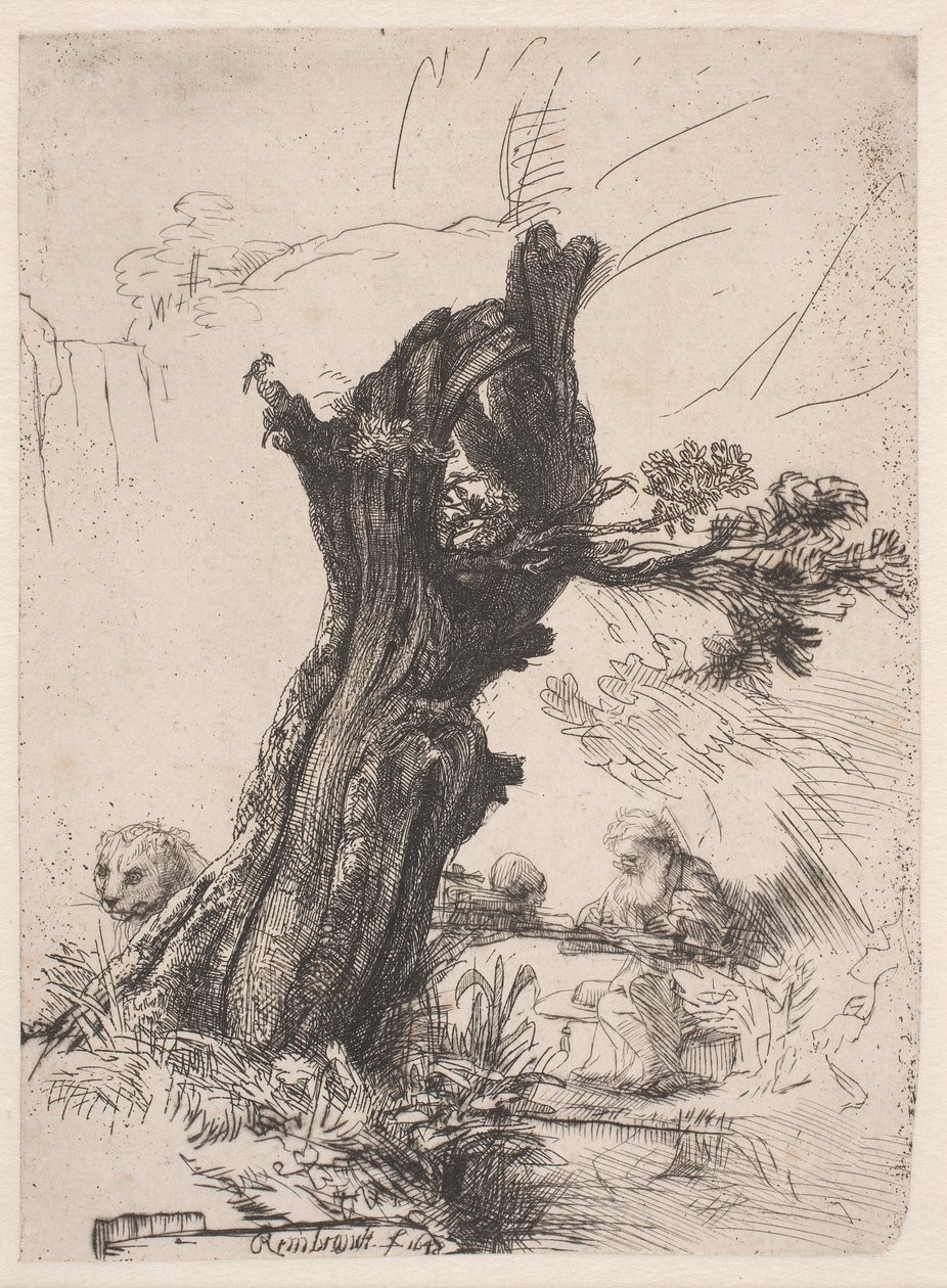 San Girolamo accanto a un salice potato da Rembrandt van Rijn