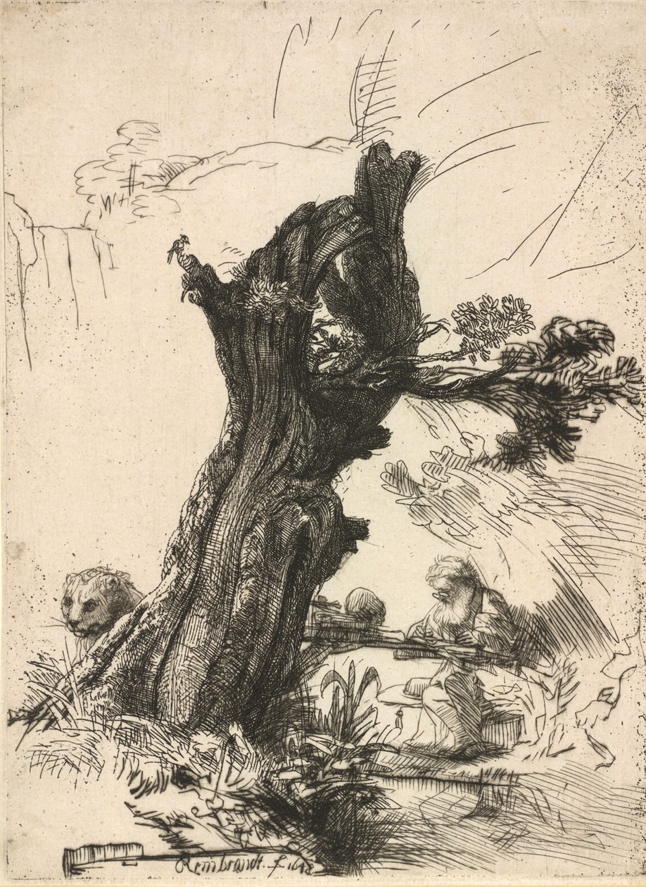 San Girolamo accanto a un salice capitozzato da Rembrandt van Rijn