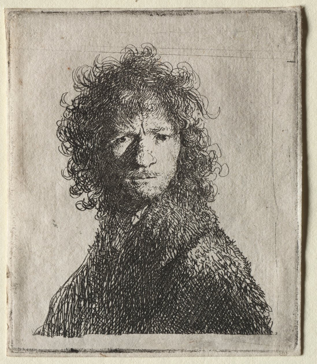 Autoritratto accigliato: Busto da Rembrandt van Rijn