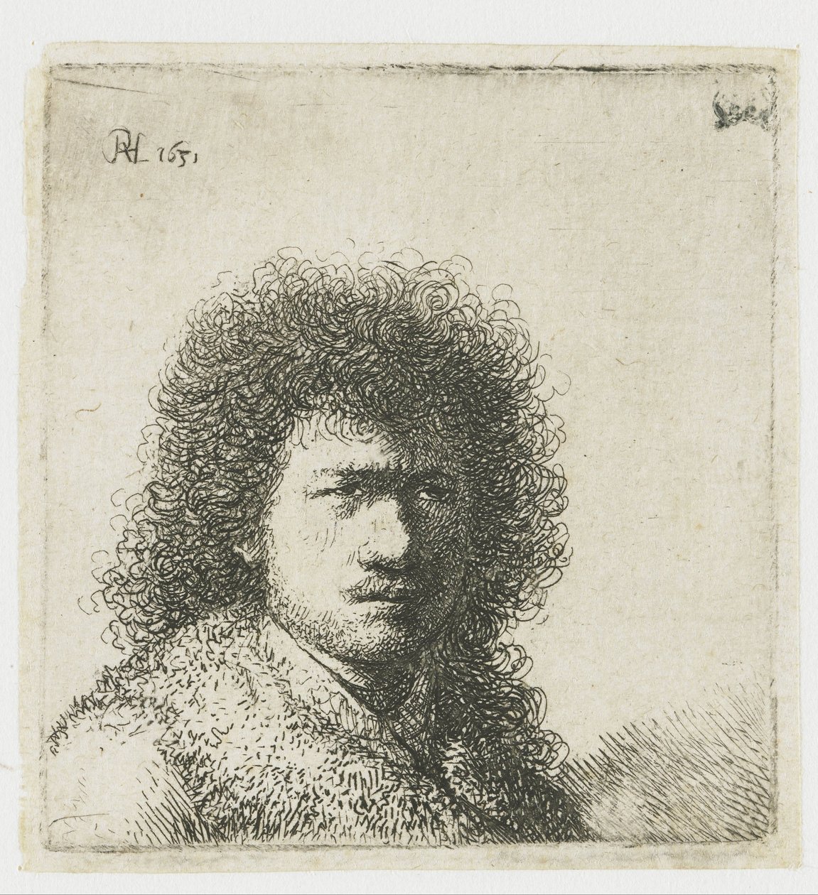 Autoritratto con capelli folti: busto da Rembrandt van Rijn