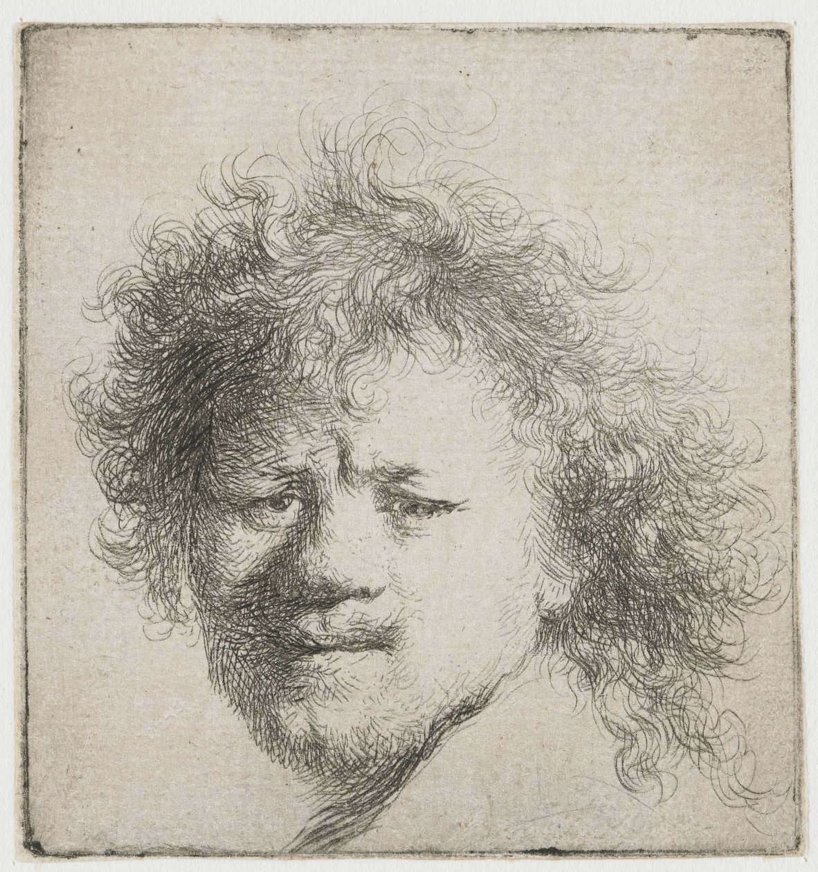 Autoritratto con capelli lunghi e folti: solo testa da Rembrandt van Rijn