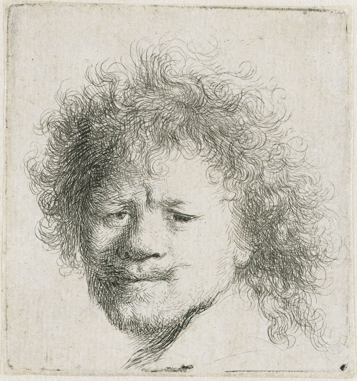 Autoritratto con capelli lunghi e folti: solo la testa von Rembrandt van Rijn