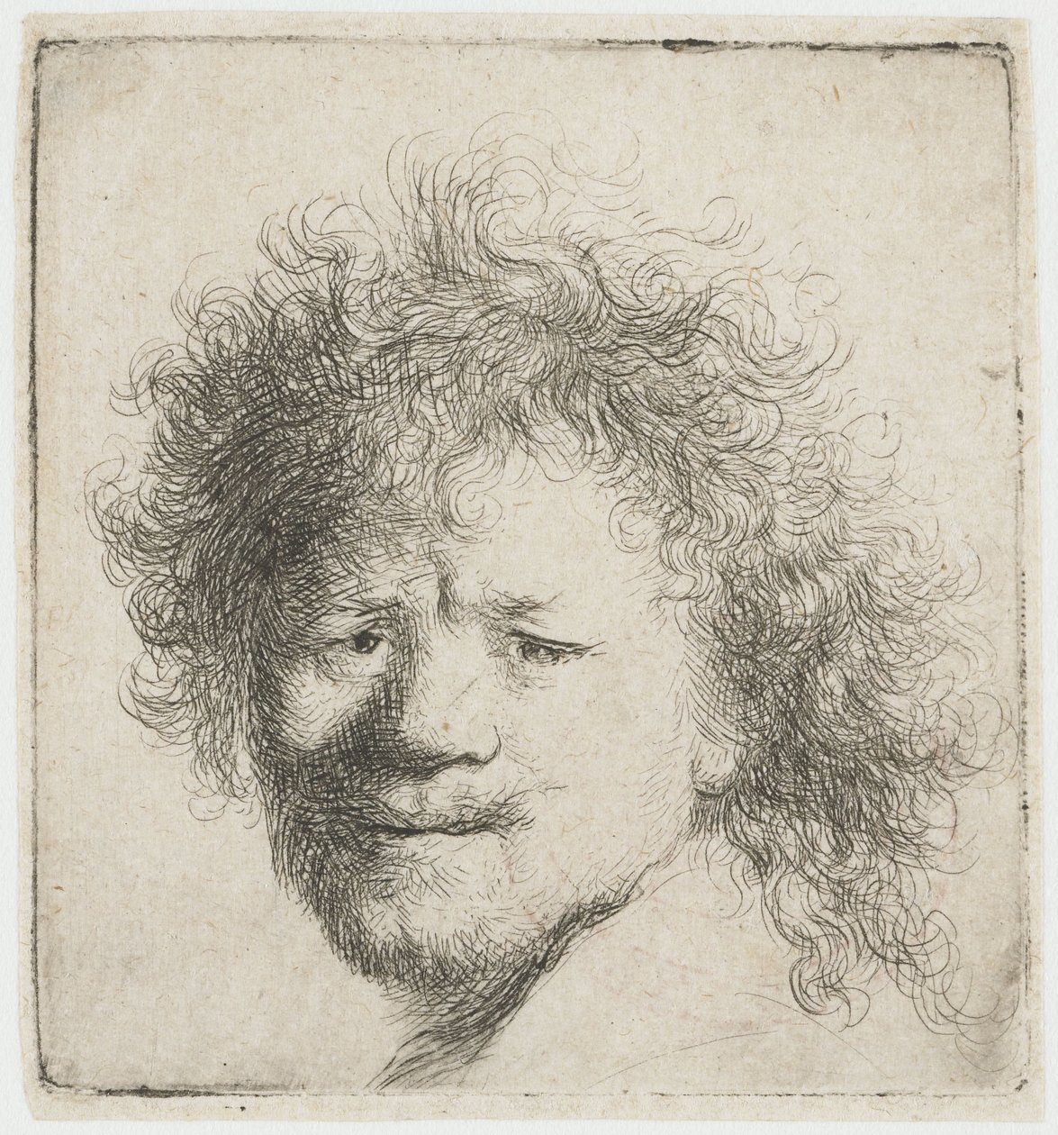 Autoritratto con capelli lunghi e folti: solo la testa da Rembrandt van Rijn