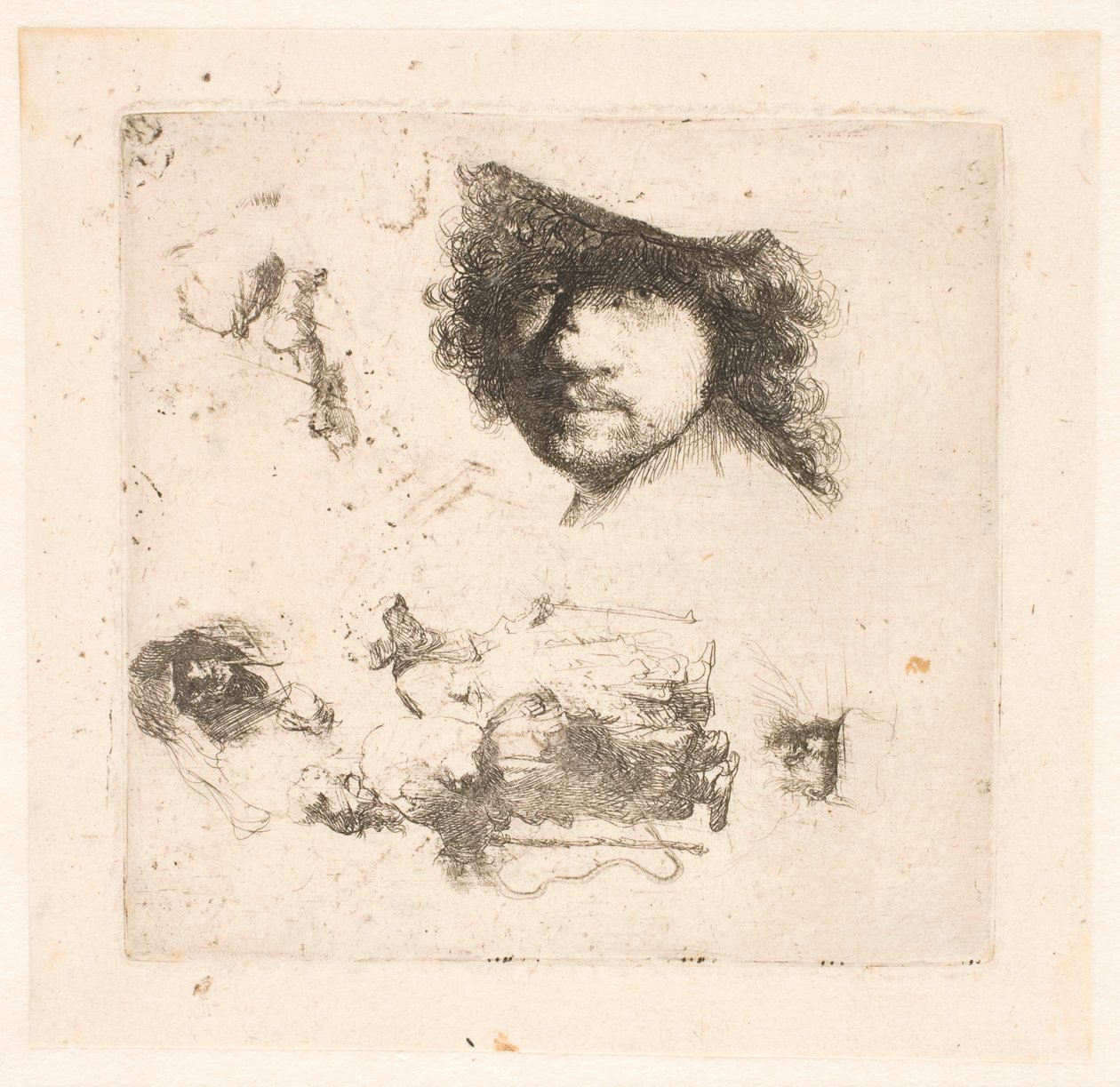 Foglio di studi: testa di Rembrandt, coppia di mendicanti, teste di vecchio e vecchia, ecc. da Rembrandt van Rijn