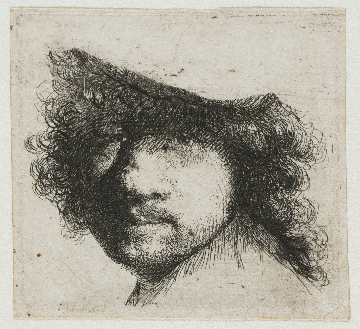 Foglio di studi: testa dell