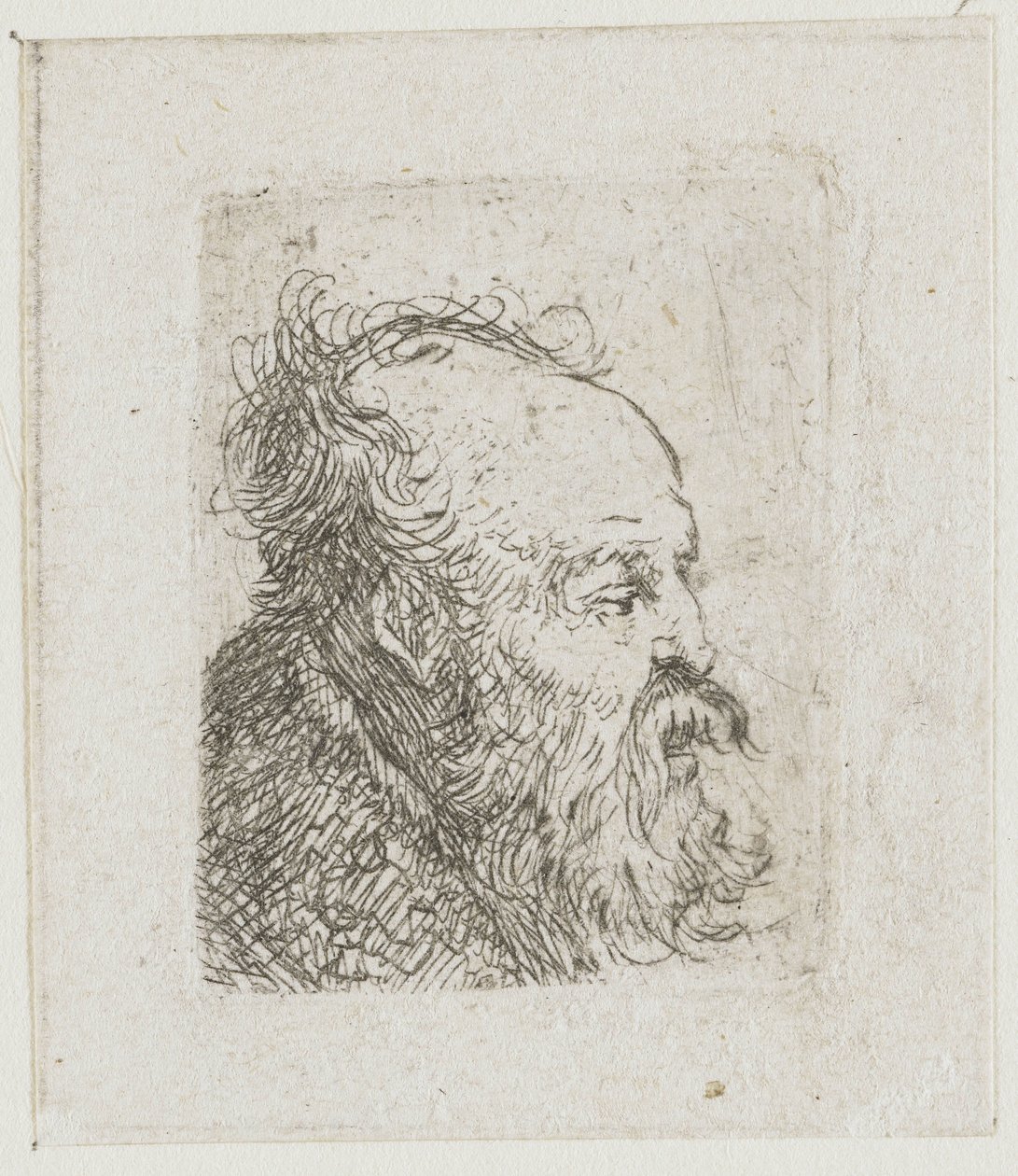 Foglio con studi di teste maschili: anziano barbuto quasi di profilo verso destra: bocca semiaperta da Rembrandt van Rijn