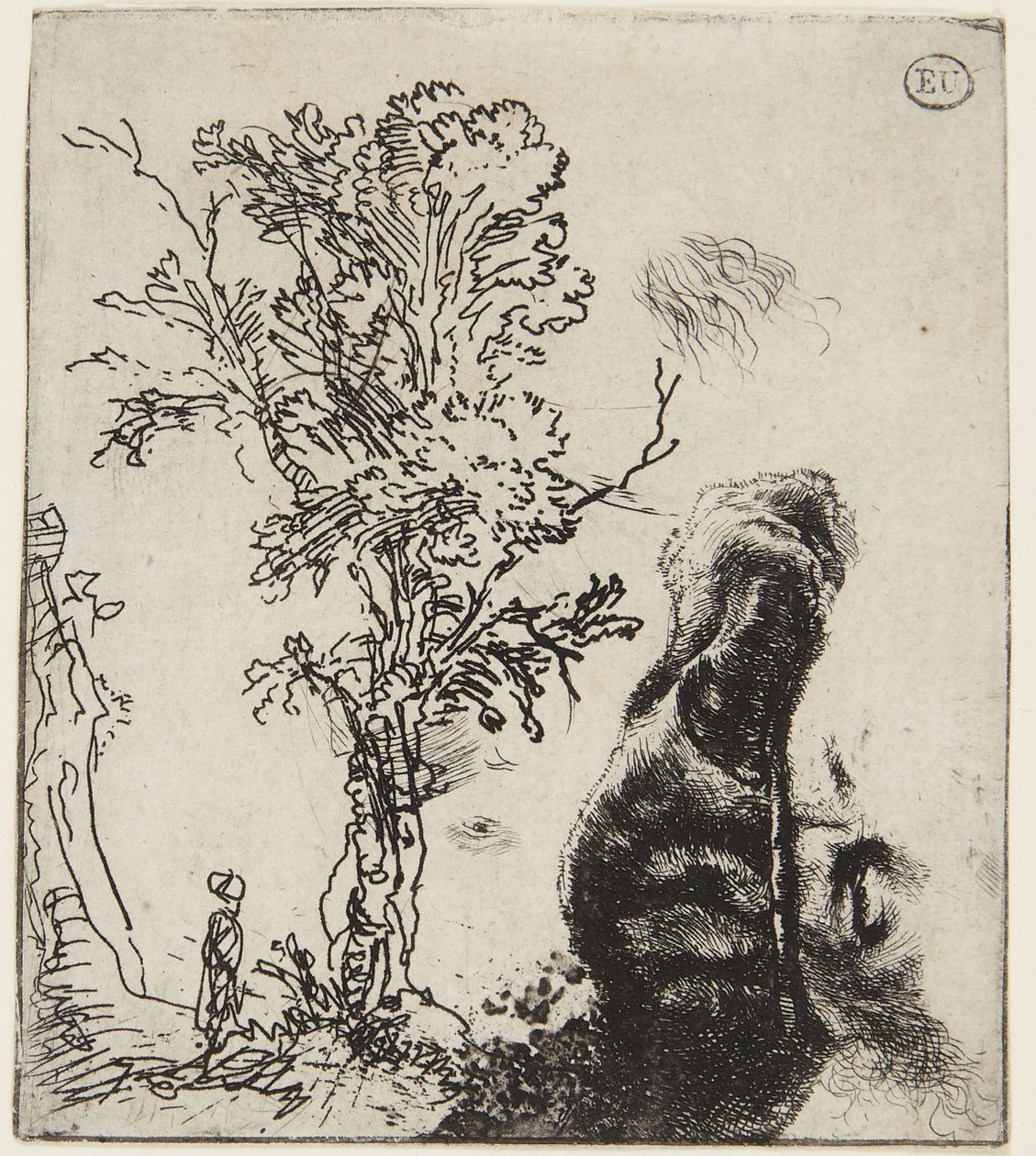 Foglio con due studi: un albero e la parte superiore di un autoritratto con un berretto di velluto da Rembrandt van Rijn