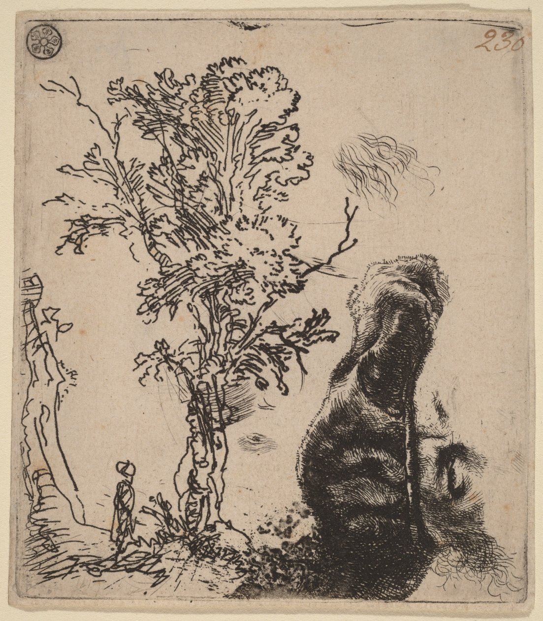 Foglio con due studi: un albero e la parte superiore del busto dell’artista con un berretto di velluto da Rembrandt van Rijn