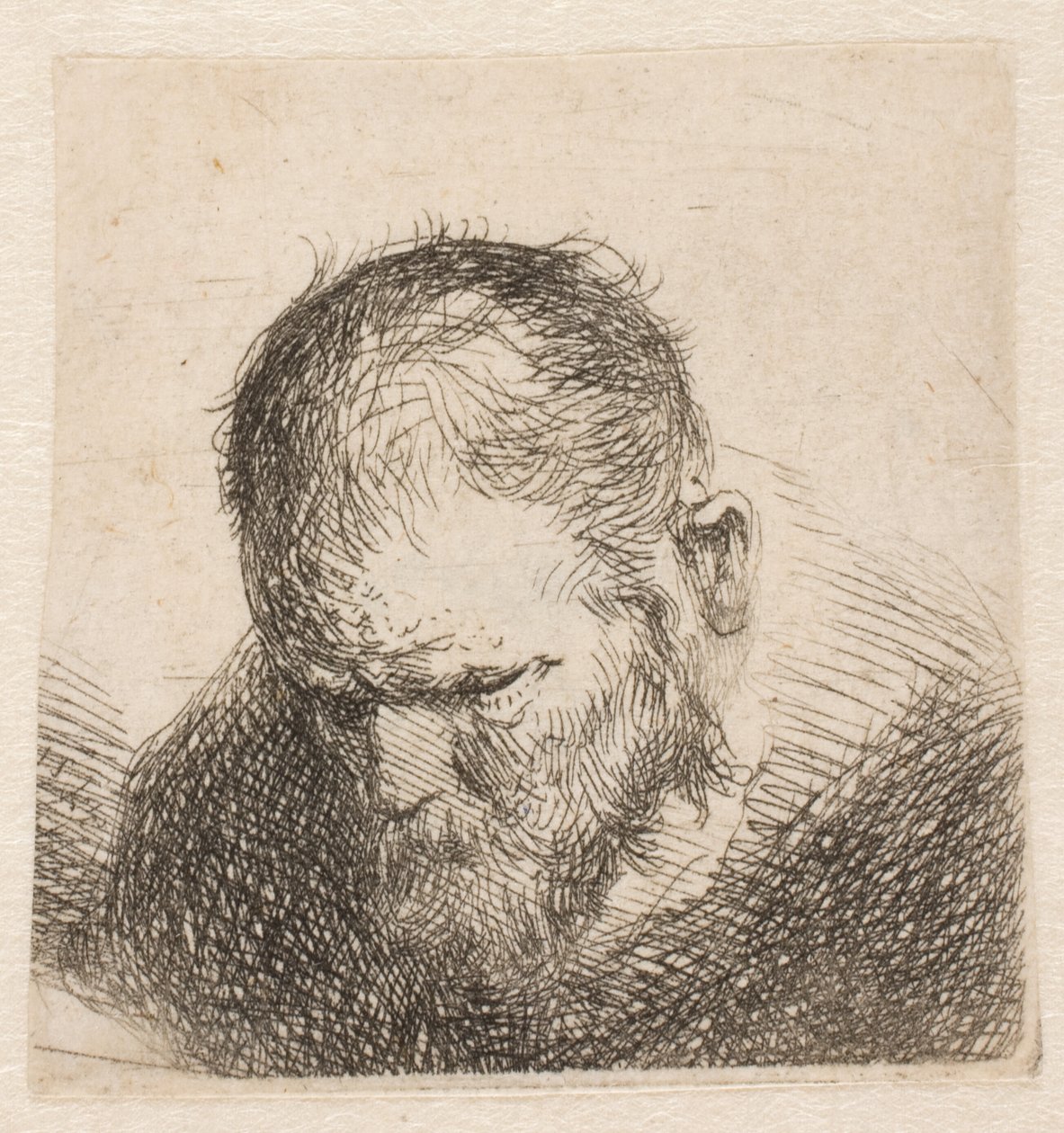 Piccolo busto di un uomo barbuto che guarda verso il basso, con gli occhi quasi chiusi da Rembrandt van Rijn