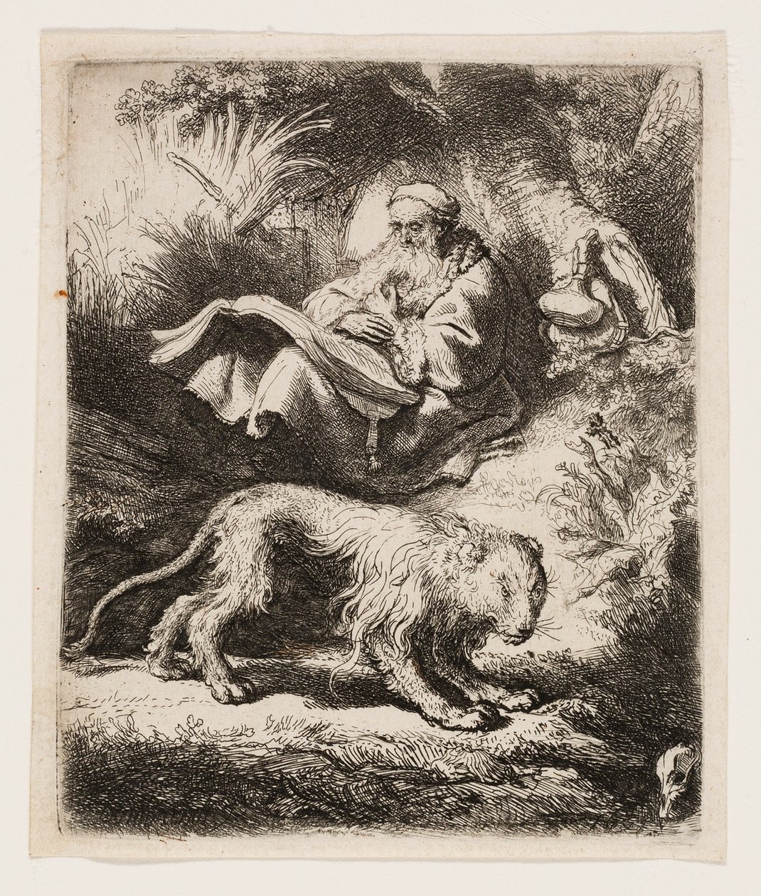 San Girolamo che legge da Rembrandt van Rijn