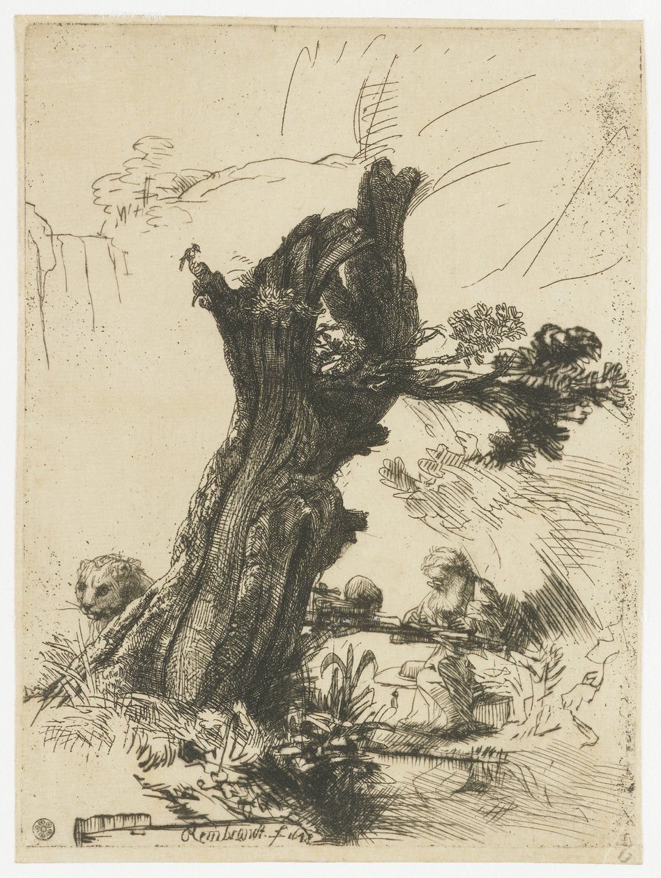 San Girolamo accanto a un salice capitozzato da Rembrandt van Rijn