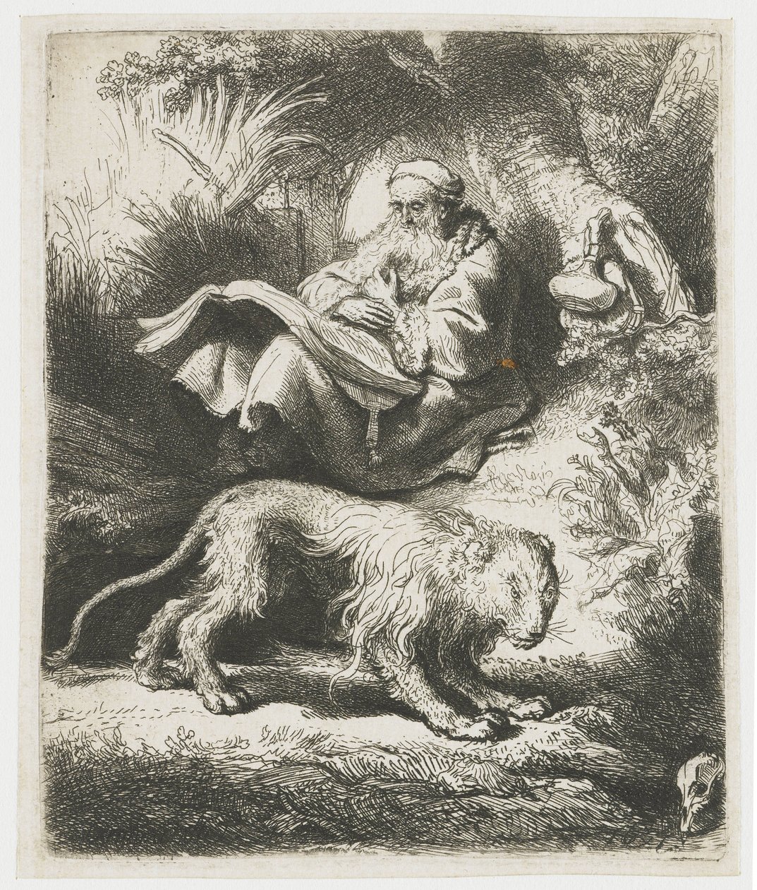 San Girolamo che legge da Rembrandt van Rijn