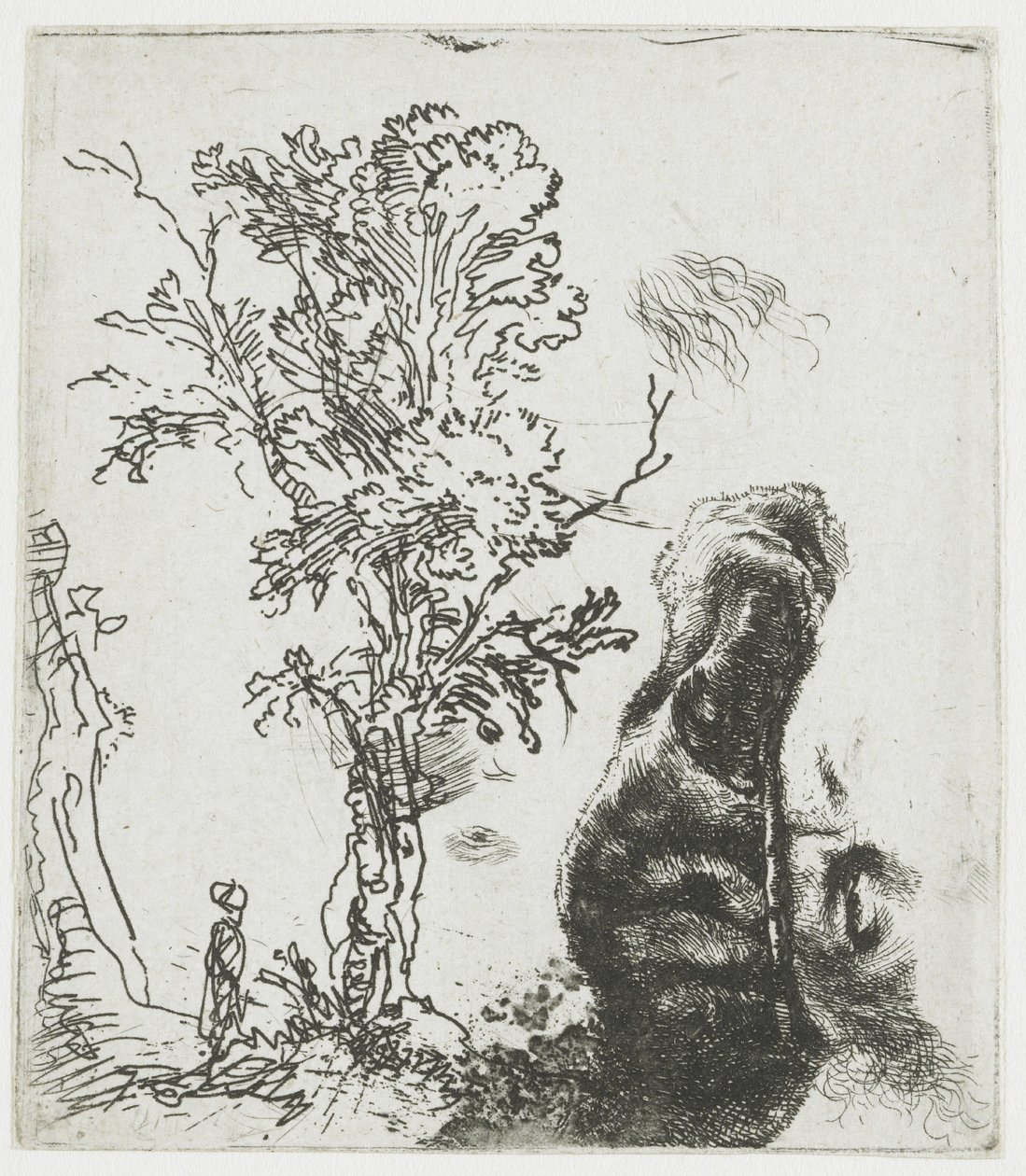Foglio di studio con un albero e la parte superiore della testa di Rembrandt con il berretto da Rembrandt van Rijn