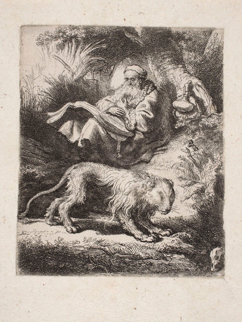 San Girolamo che legge da Rembrandt van Rijn