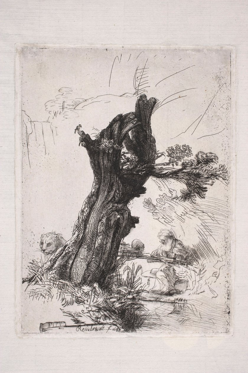 San Girolamo che scrive accanto al tronco di un salice da Rembrandt van Rijn