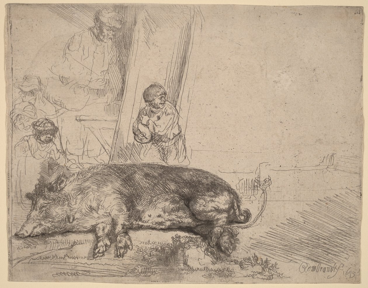 The Hog da Rembrandt van Rijn