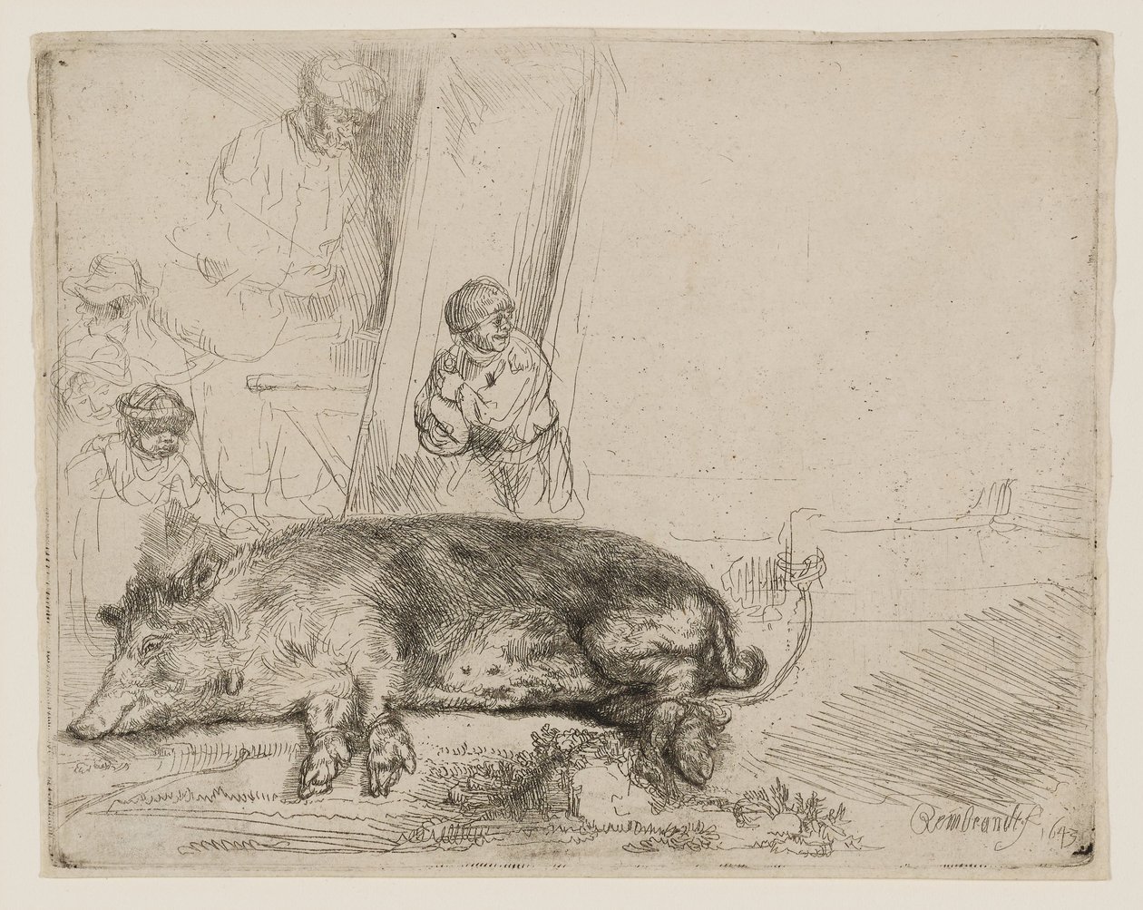 The Hog da Rembrandt van Rijn