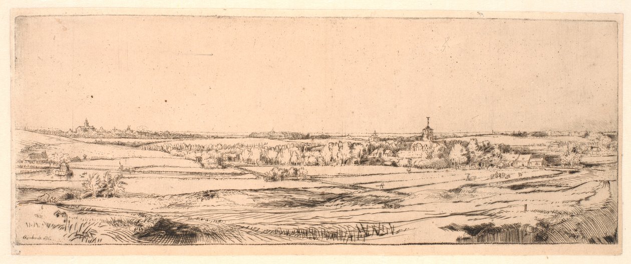 Il campo del pesatore d