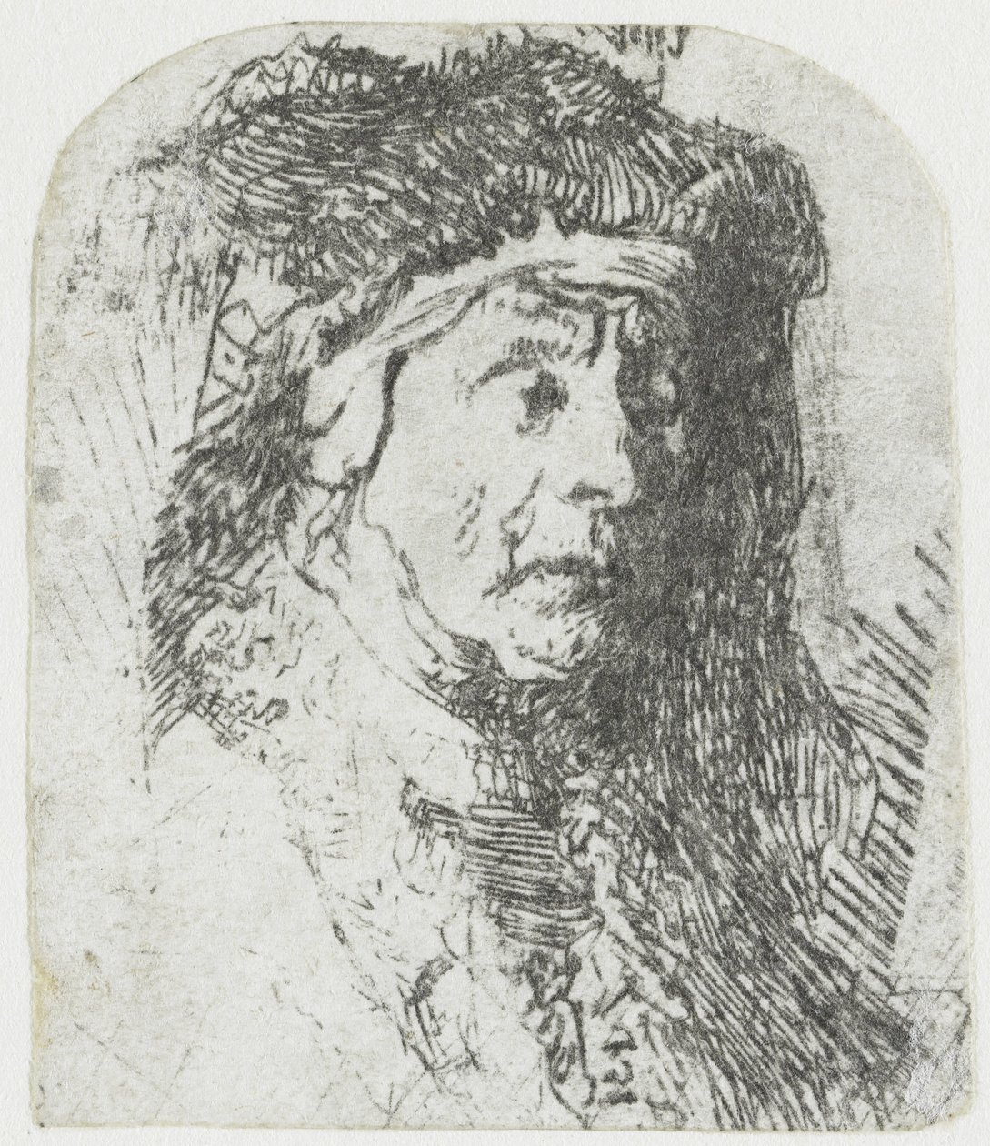 Donna in un mantello bordato di pelliccia da Rembrandt van Rijn