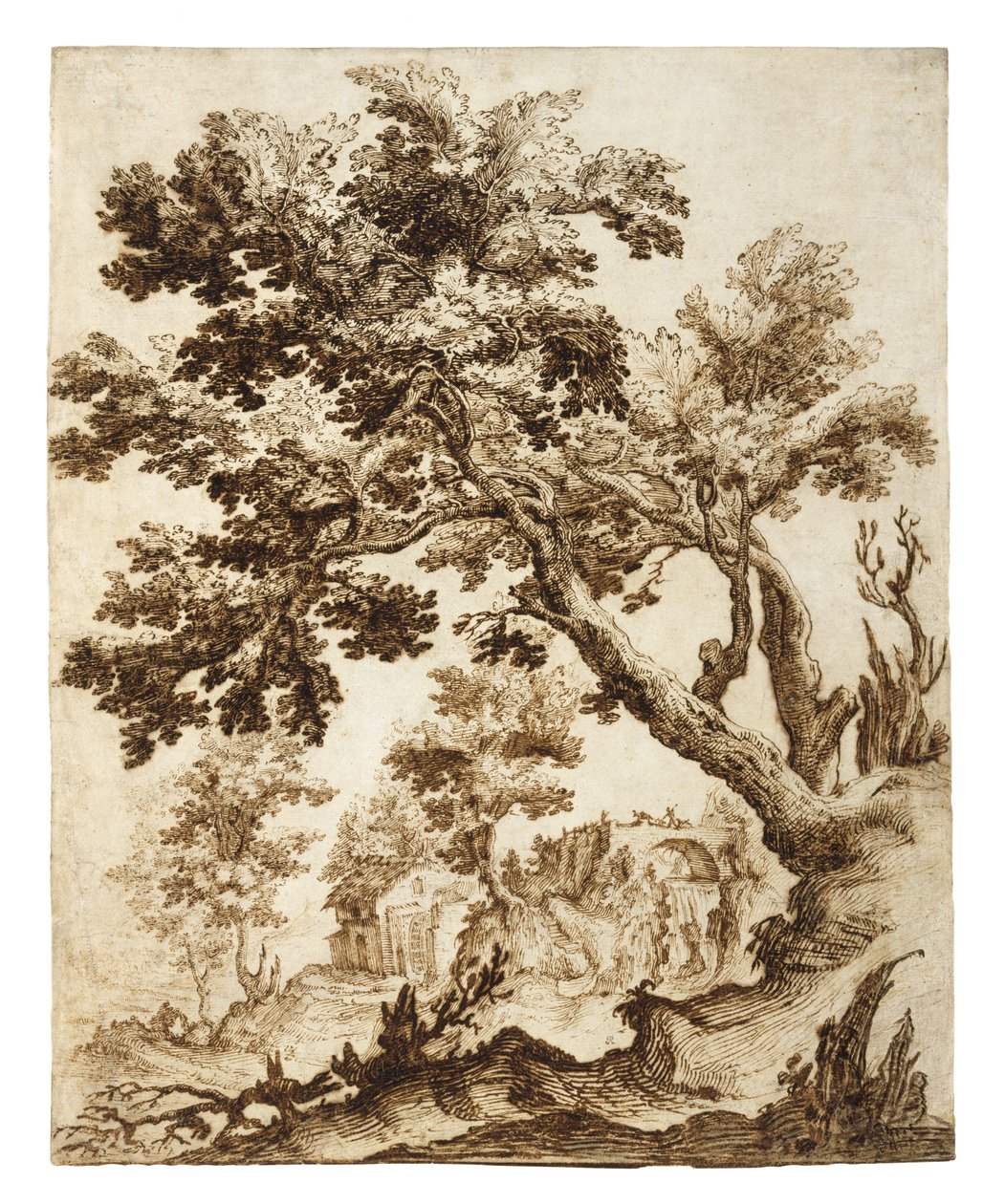 Paesaggio con albero e mulino, primi anni del 1600 da Remigio Cantagallina