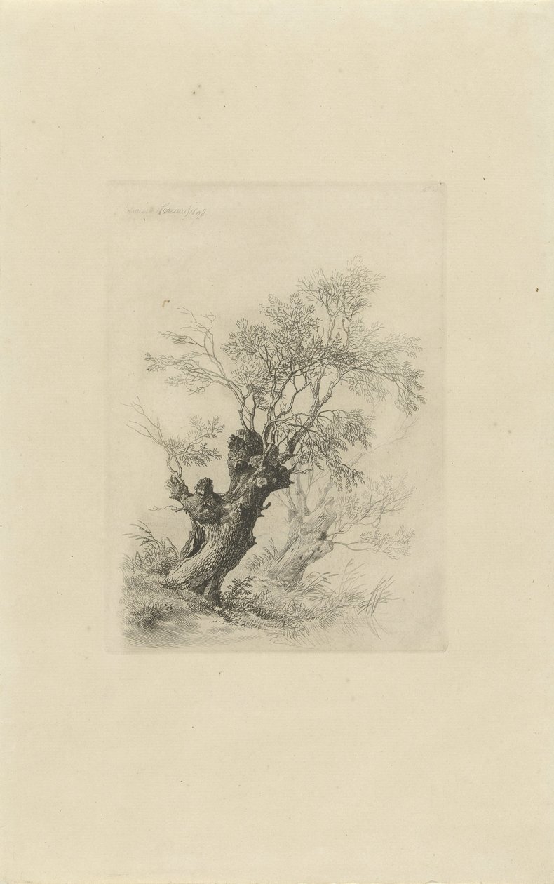Salice da Remigius Adrianus Haanen