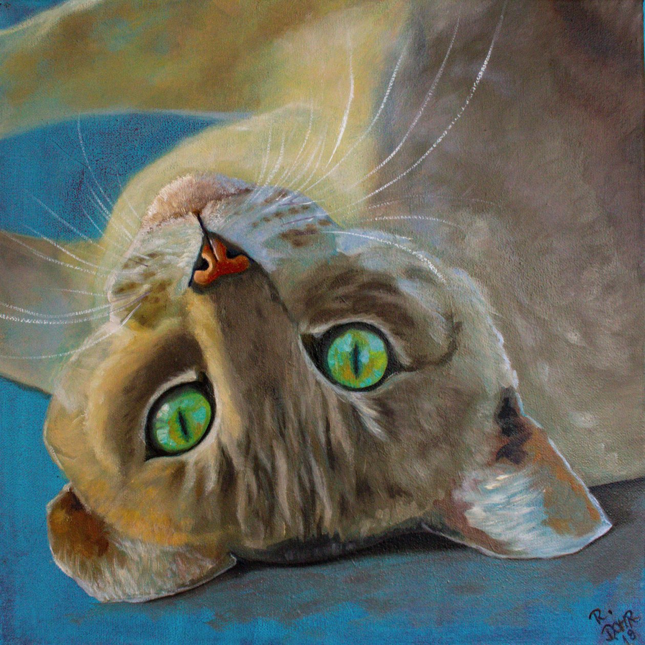 Felicità del gatto da Renate Dohr