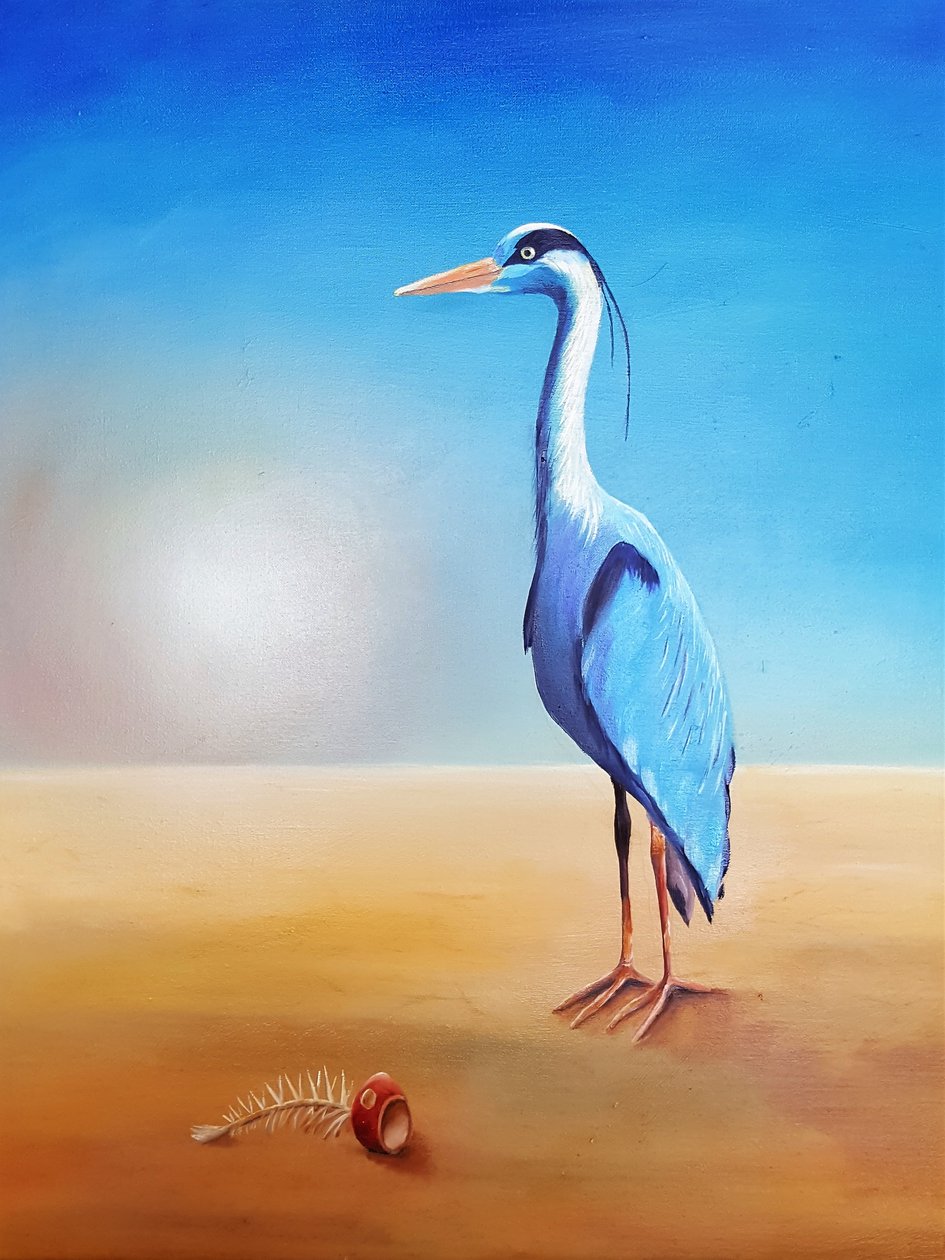 Airone da Renate Dohr