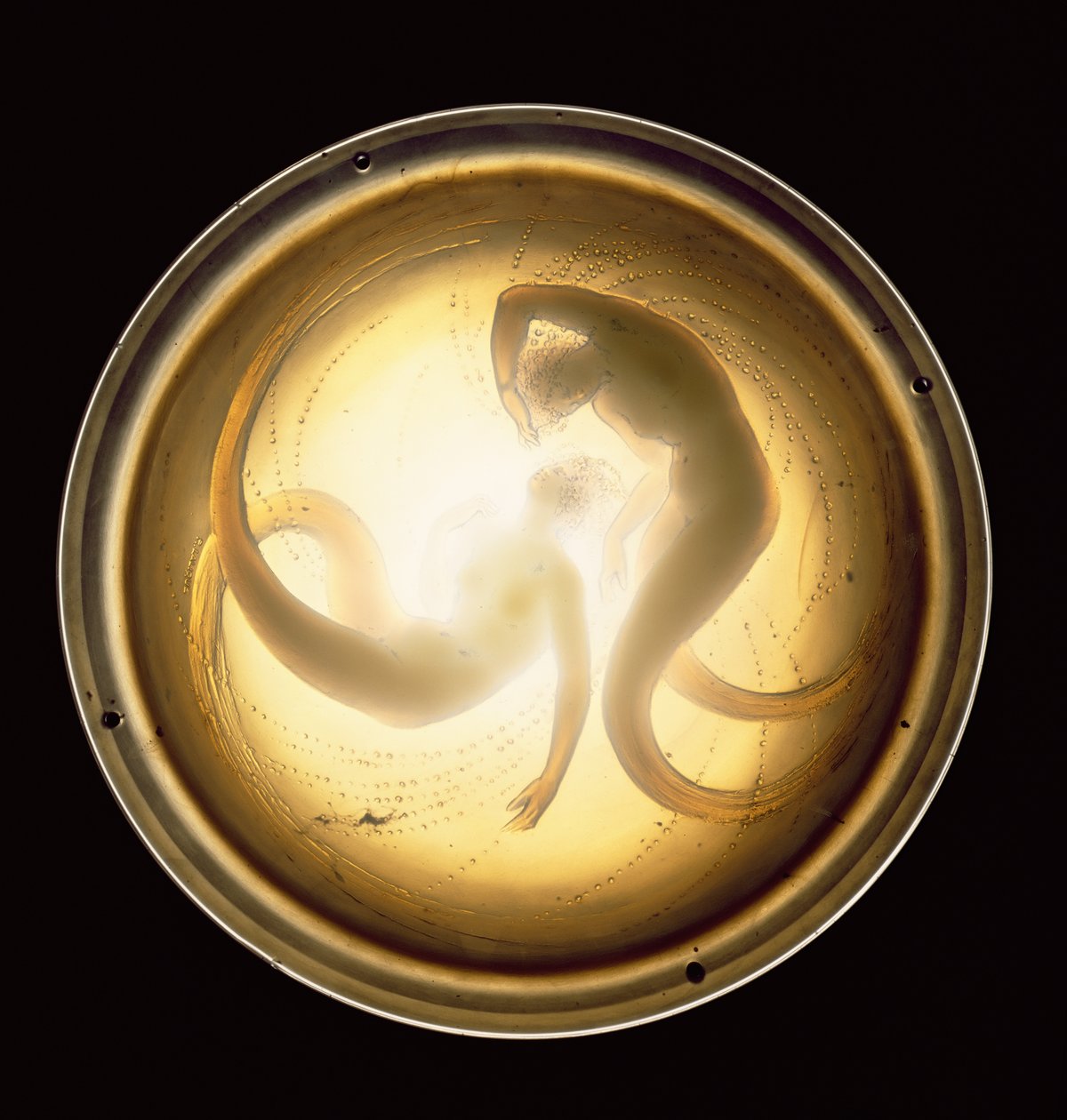 Deux Sirenes Plafonnier da Rene Jules Lalique