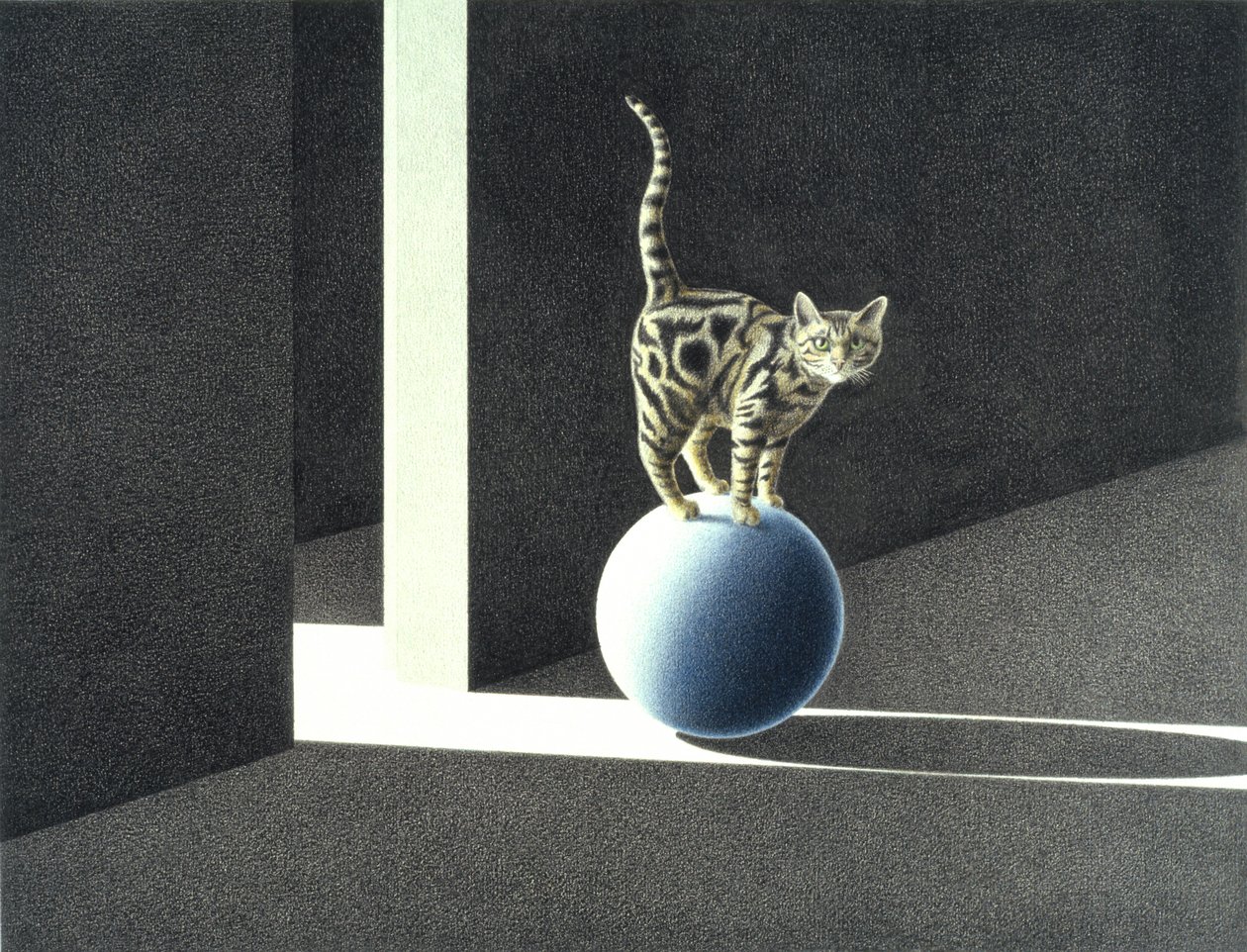 Palla blu da Rene Boin
