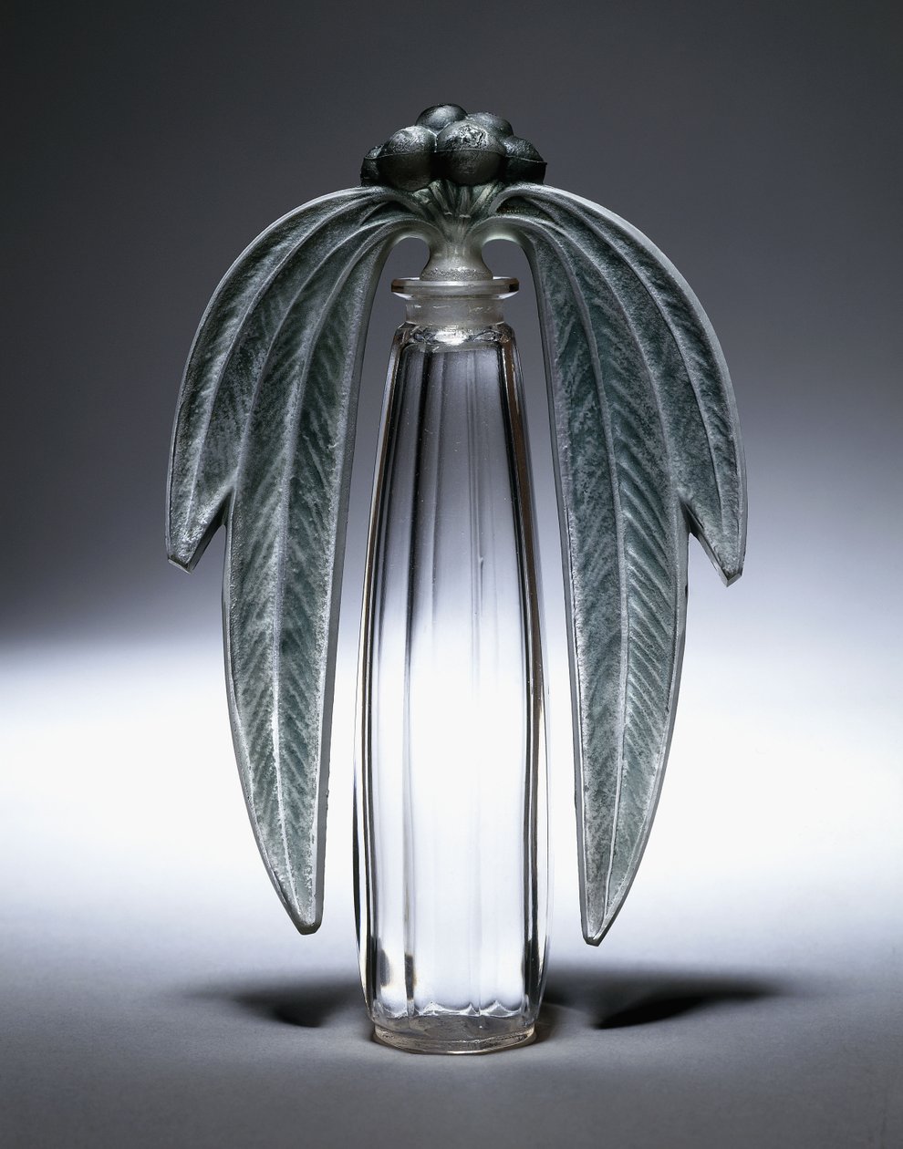 Bouchon Eucalyptus, n. 507, c.1919 da Rene Jules Lalique