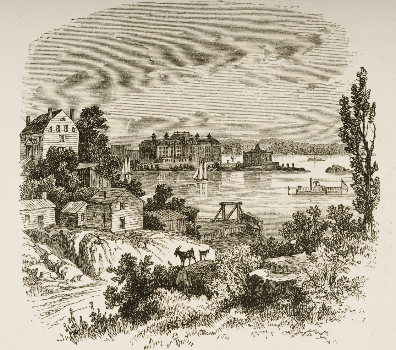 Turtle Bay e Blackwells Island, New York, c.1880 da Reverend Samuel Manning