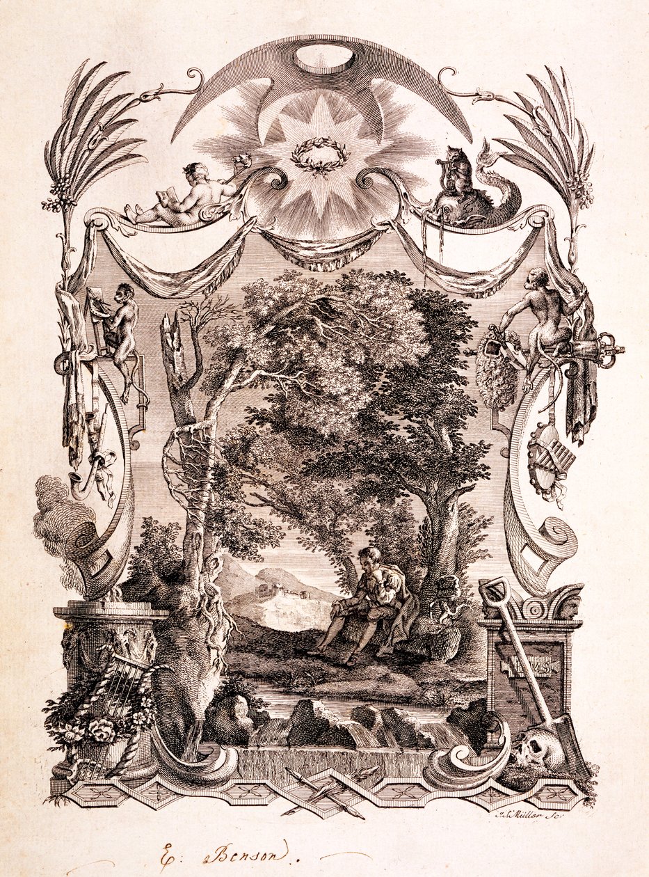 Il poeta contempla la morte, illustrazione da 