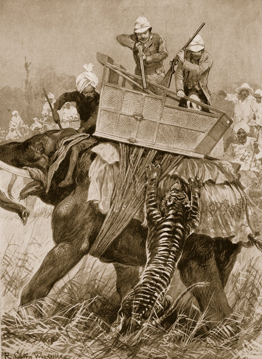 La visita del Principe di Galles in India, 1876: l