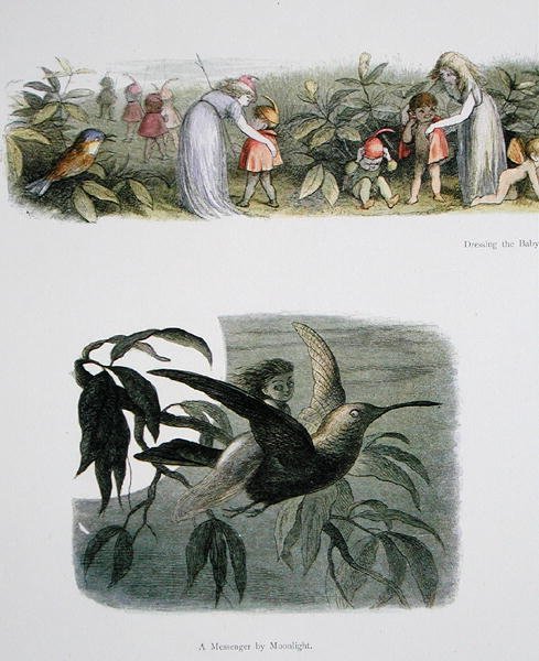 Vestire i piccoli elfi e un messaggero al chiaro di luna, illustrazioni da In Fairyland: A Series of Pictures from the Elf-World di William Allingham e Andrew Lang da Richard Doyle