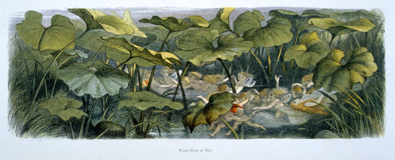 Elfi del Bosco che Giocano, illustrazione da 