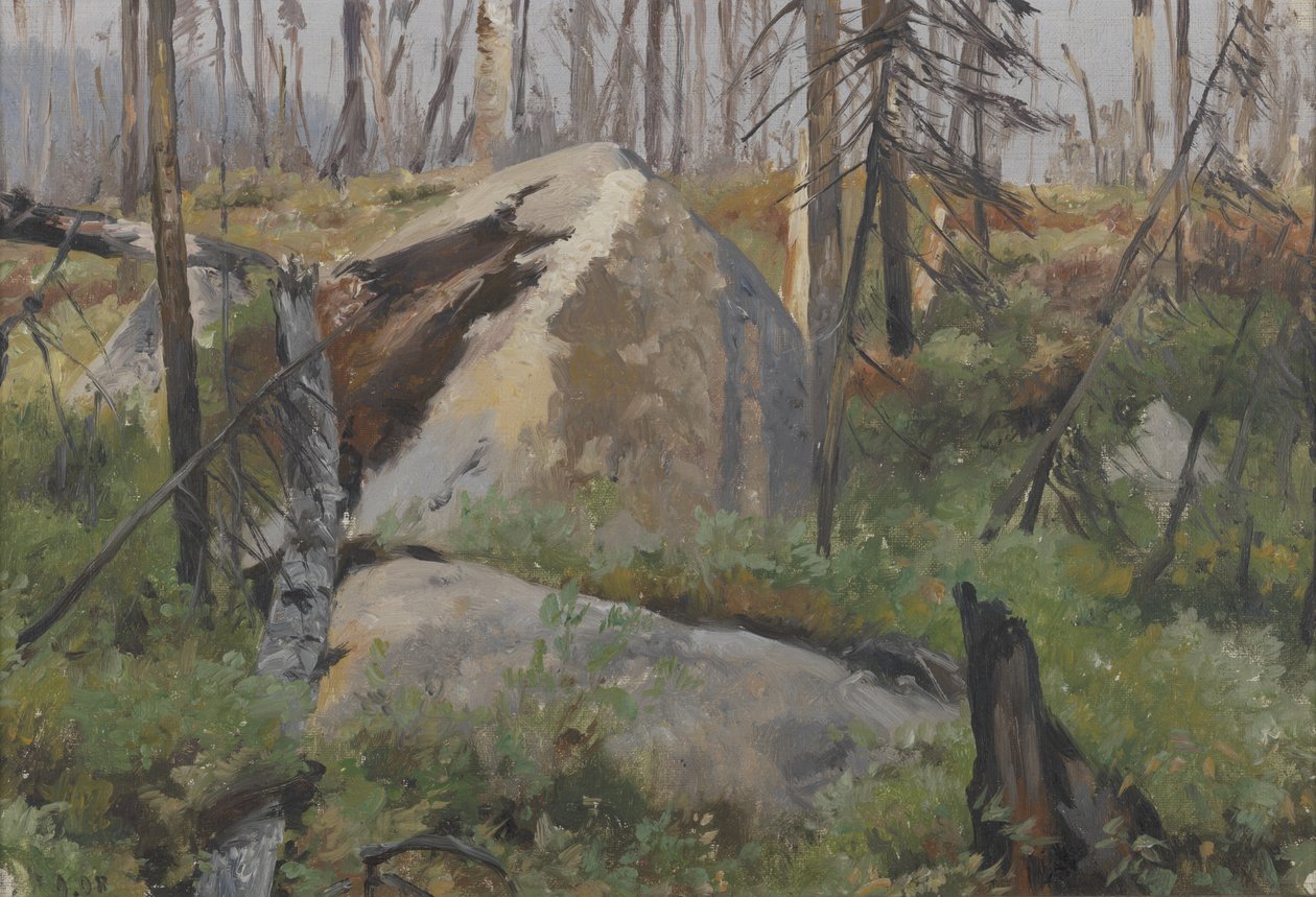 Foresta morta in Canada da Richard Friese