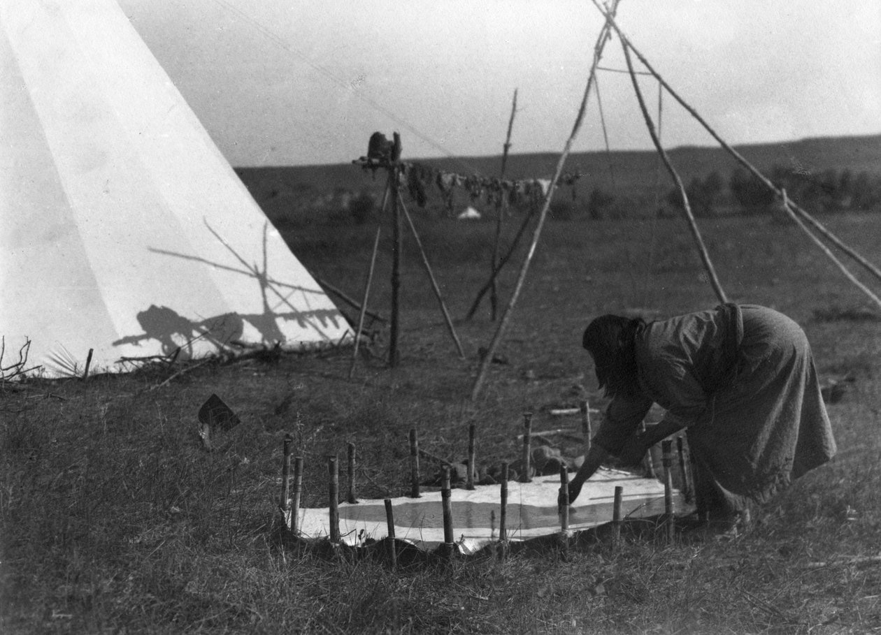 Raschiare la pelle, c.1902-11 da Richard Throssel