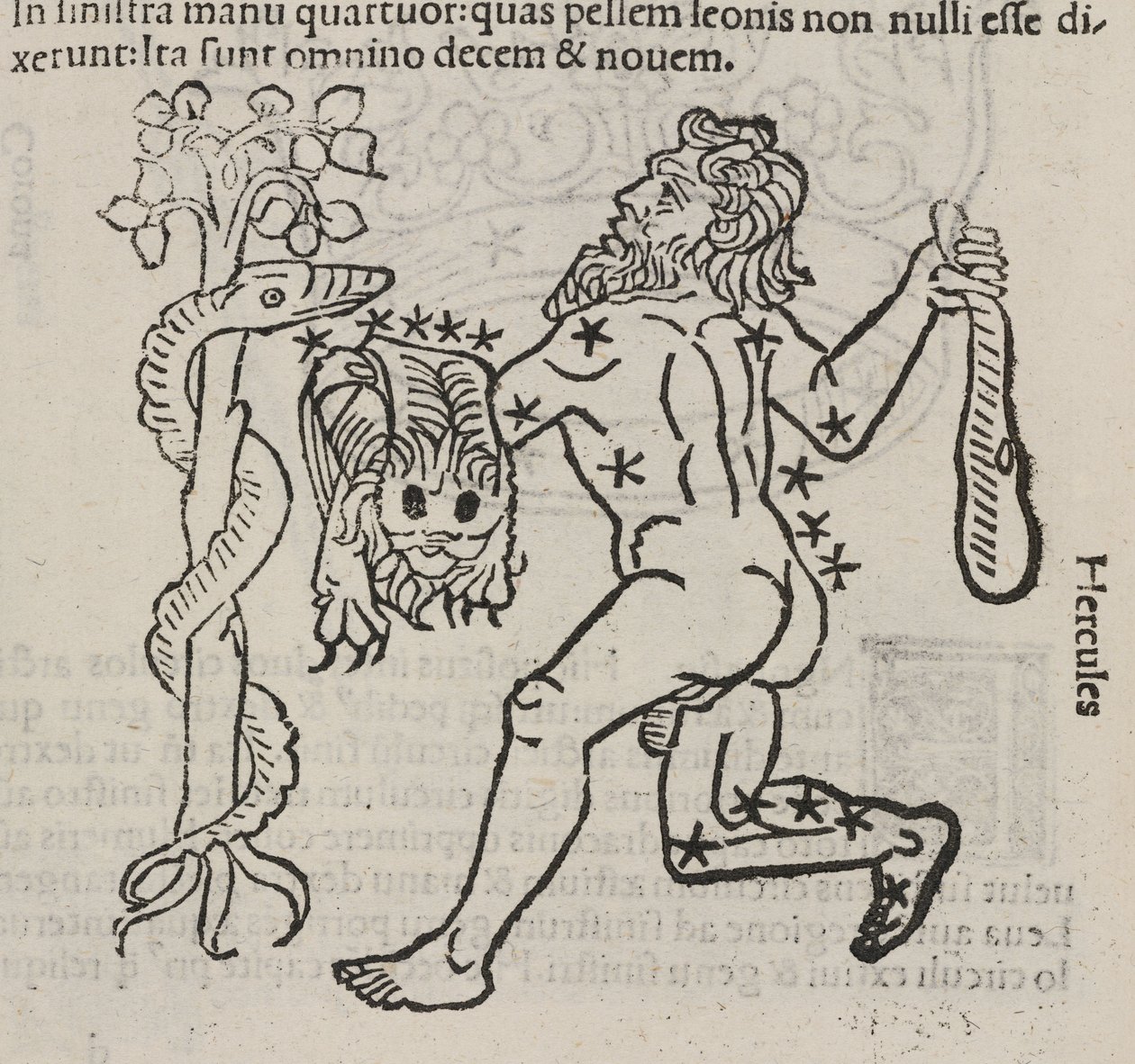 La costellazione di Ercole da John Pardon
