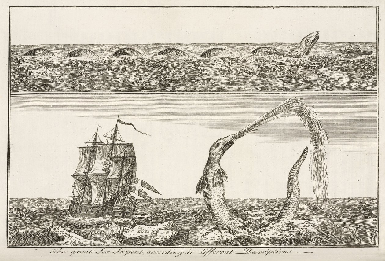 Il grande serpente marino, secondo diverse descrizioni da John Pardon