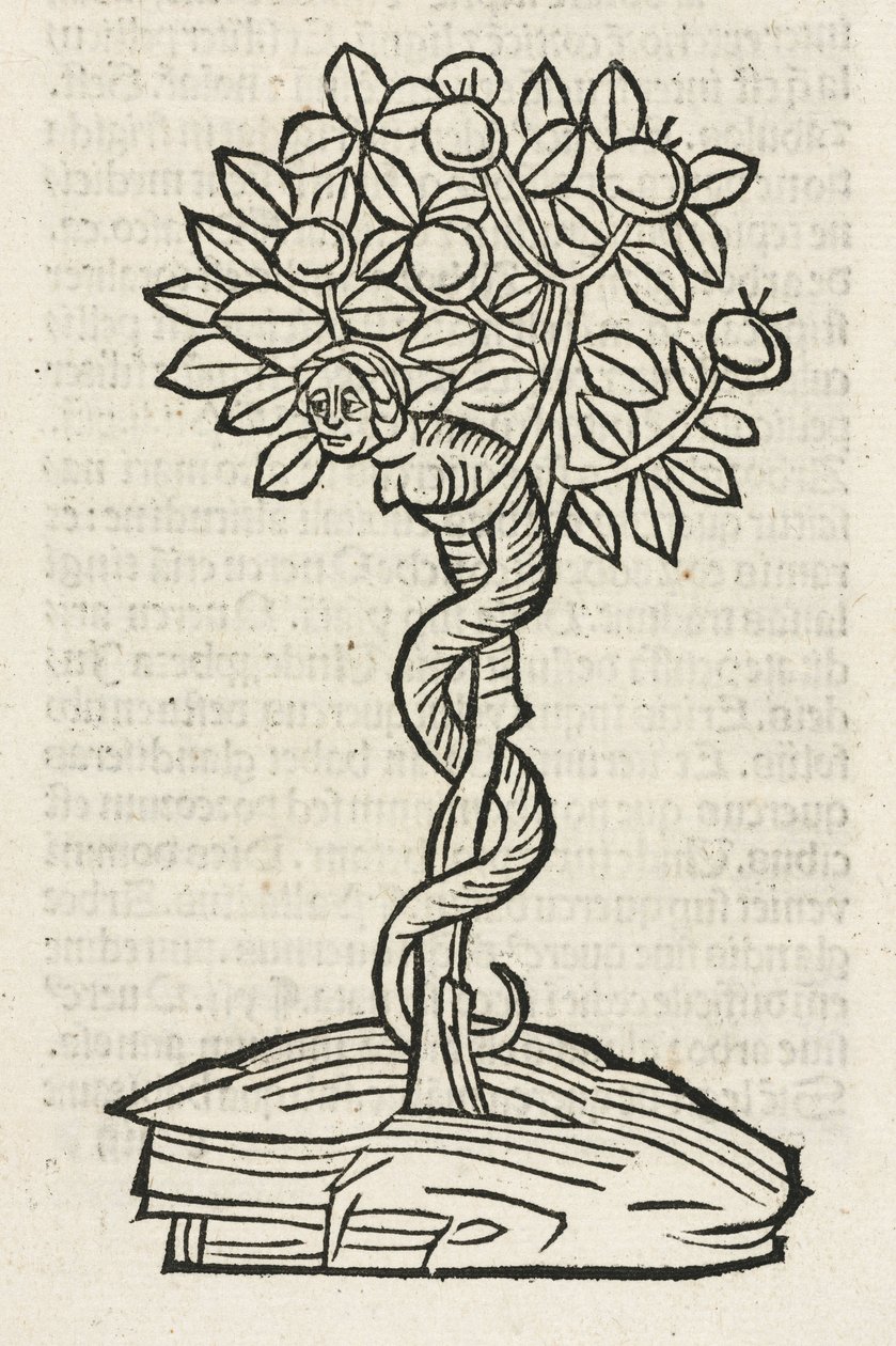 Il serpente nell
