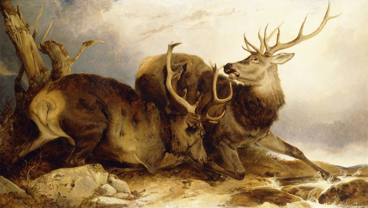 Il Combattimento, 1847 da Richard Ansdell