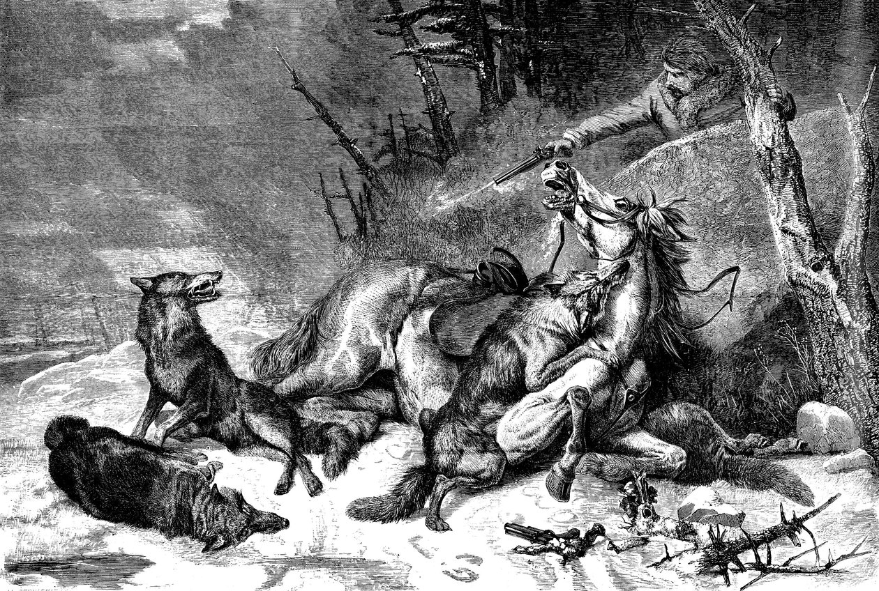 Viaggiatore a cavallo attaccato da un branco di lupi da Richard Ansdell