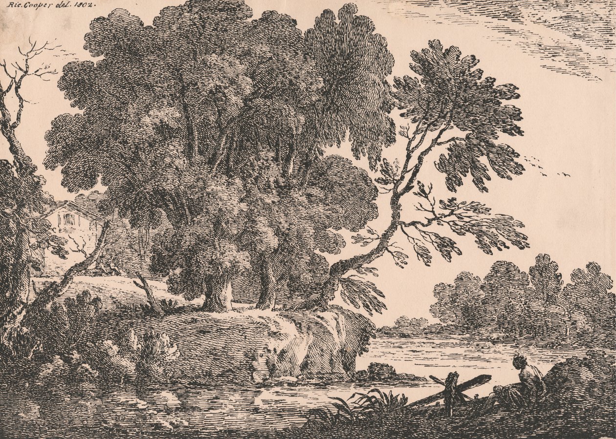 Paesaggio con gruppo di alberi circondati dall