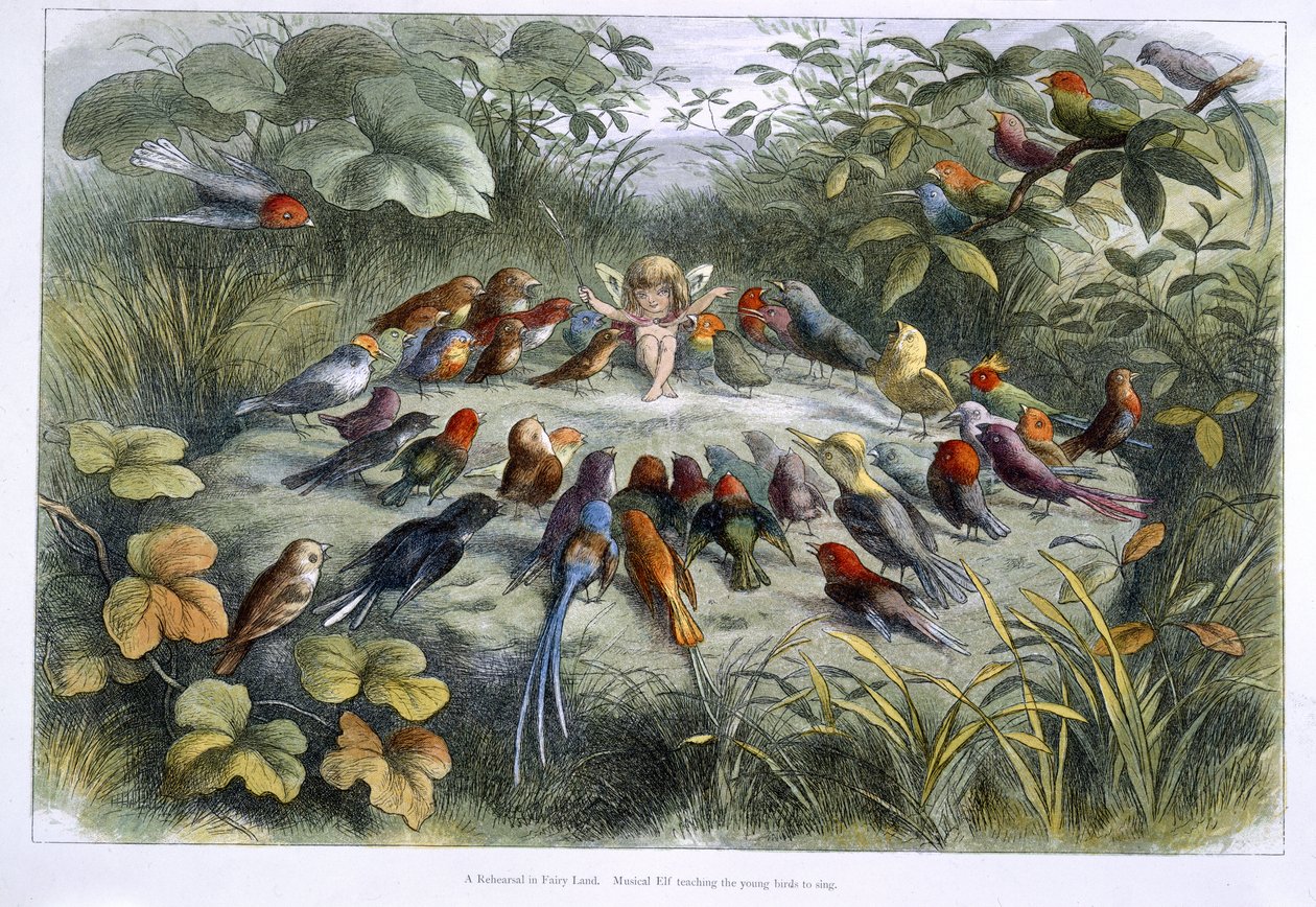 Un elfo e uccelli da Richard Doyle