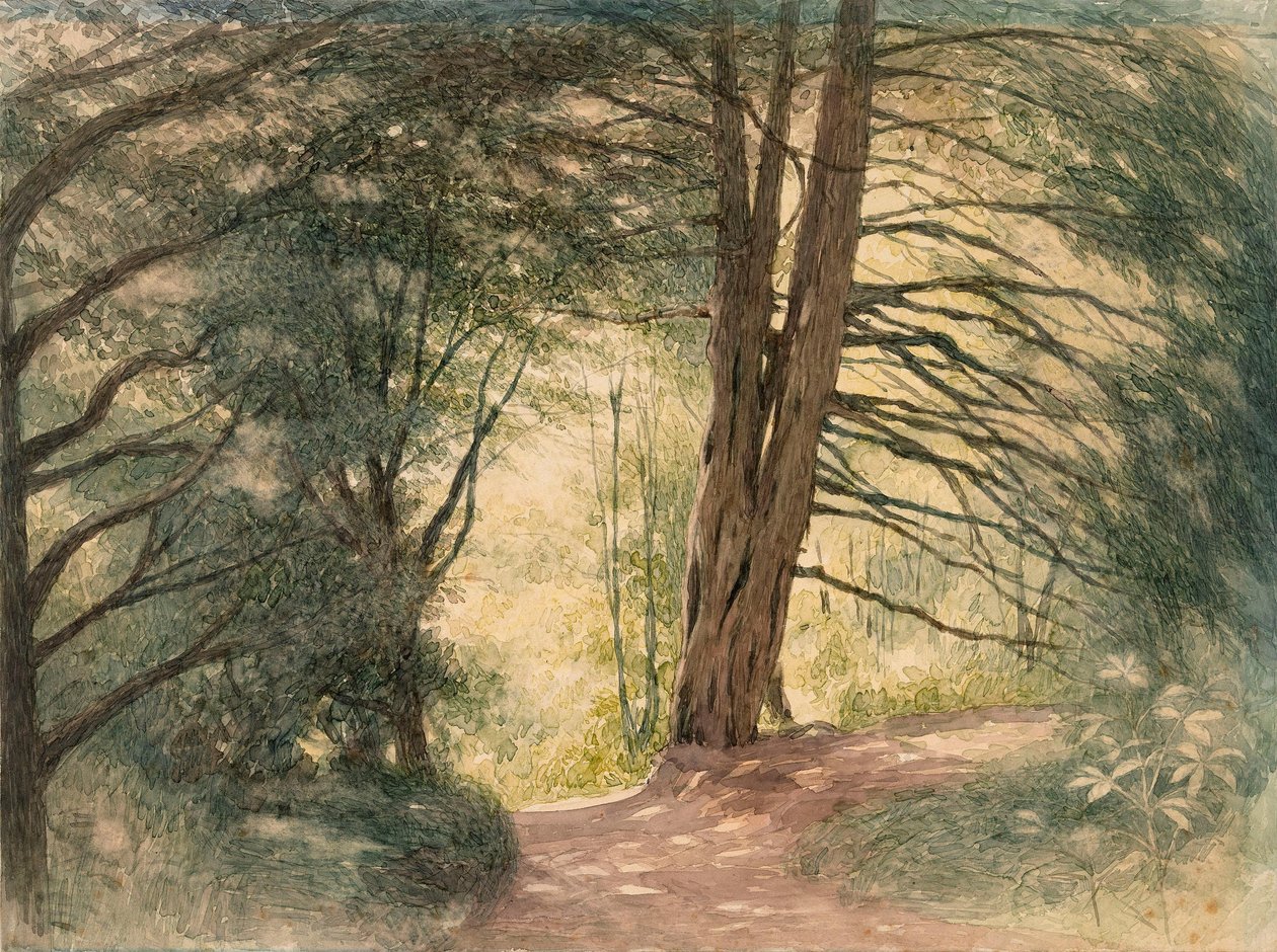 Box Hill, Surrey da Richard Doyle