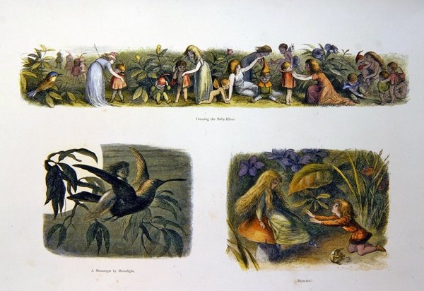Nel paese delle fate da Richard Doyle