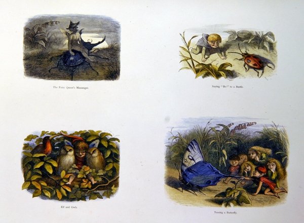 Nel Paese delle Fate da Richard Doyle