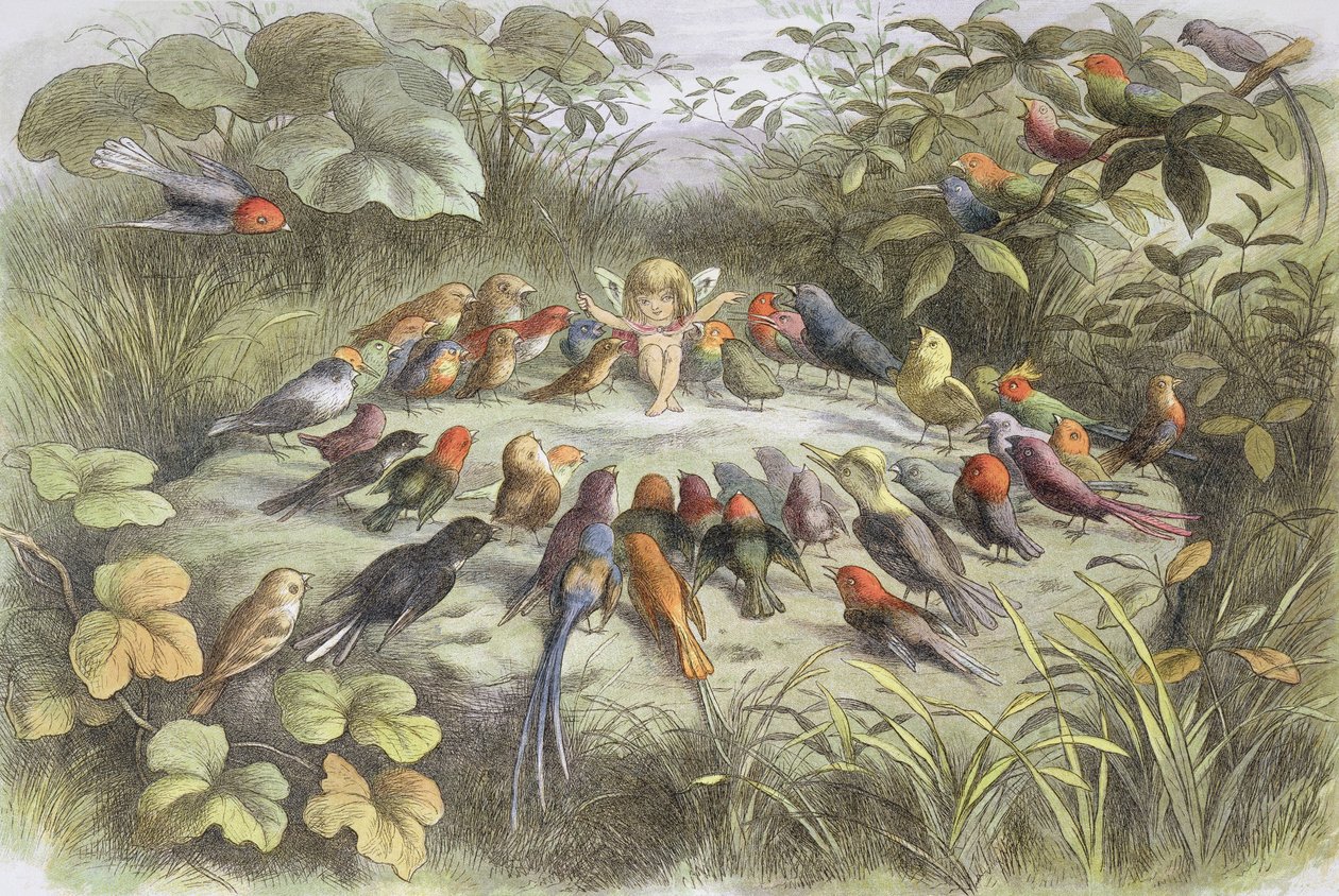 Prova musicale nel paese delle fate (Illustrazione da "Nel paese delle fate. Immagini dal mondo delle fate", di William Allingham e Andrew Lang) da Richard Doyle